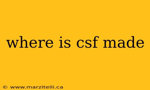 where is csf made