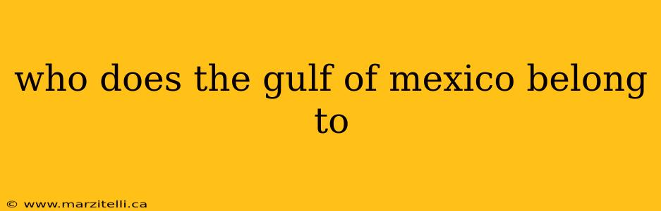 who does the gulf of mexico belong to