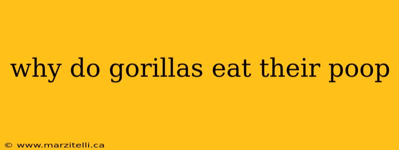 why do gorillas eat their poop