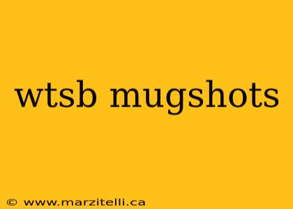 wtsb mugshots