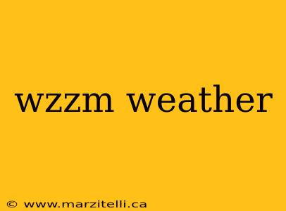 wzzm weather