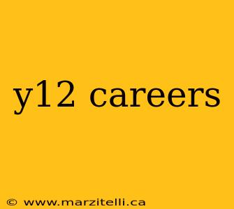 y12 careers